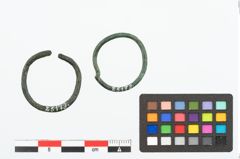 Foto von Bronzering (NHMW-PRAE-025173)
